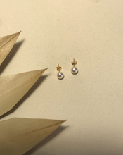 Load image into Gallery viewer, 14K Solid Gold Freshwater Pearl Earrings