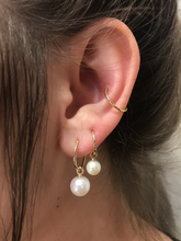 Load image into Gallery viewer, 14K Solid Gold Pearl Earrings
