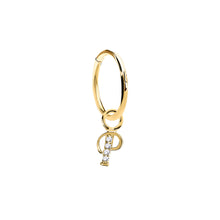 Load image into Gallery viewer, 14K Solid Yellow Gold Initial "P" Charm Earring