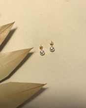 Load image into Gallery viewer, 14K Solid Gold Freshwater Pearl Earrings
