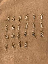Load image into Gallery viewer, 14K Solid Yellow Gold Initial &quot;P&quot; Charm Earring
